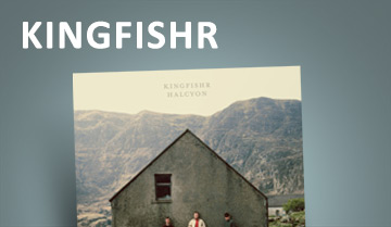 Kingfishr