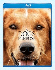 A Dogs Purpose
