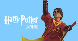 Harry Potter Universe