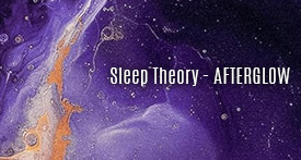 SLEEP THEORY
