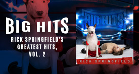 Rick Springfield 