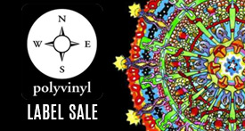 Polyvinyl Records Sale