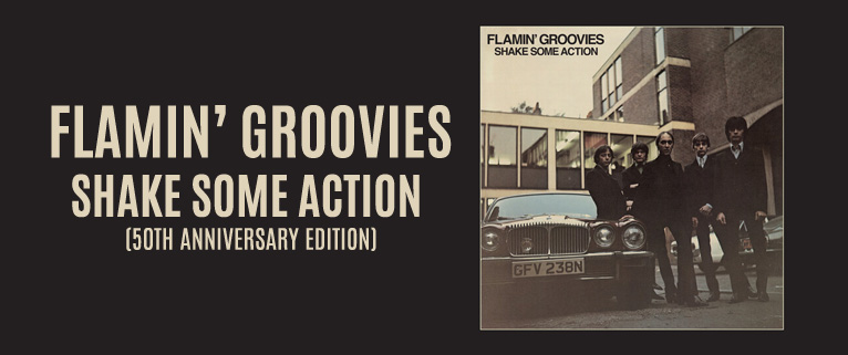 Flamin Groovies