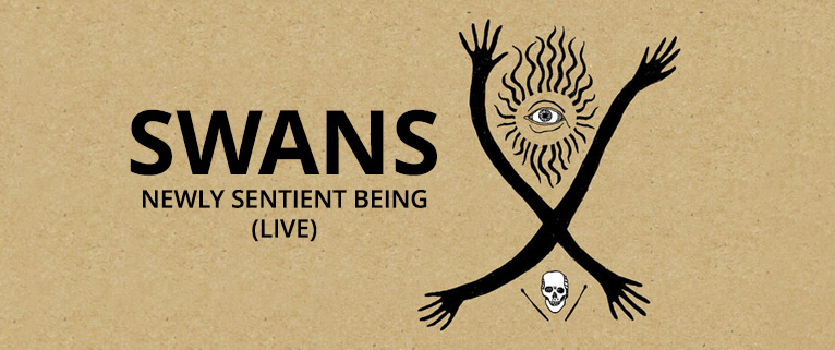 Swans