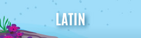 Latin Music