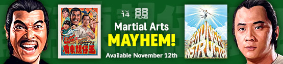 Martial Arts Mayhem from 88 Films Available November 12