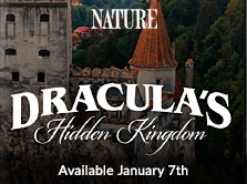 Nature: Dracula's Hidden Kingdom Available January 7th