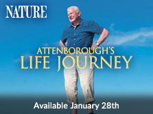 Nature: Attenborough's Life Journey Available January 28th