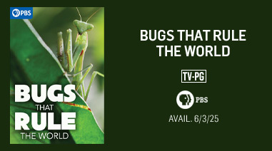 Bugs That Rule the World