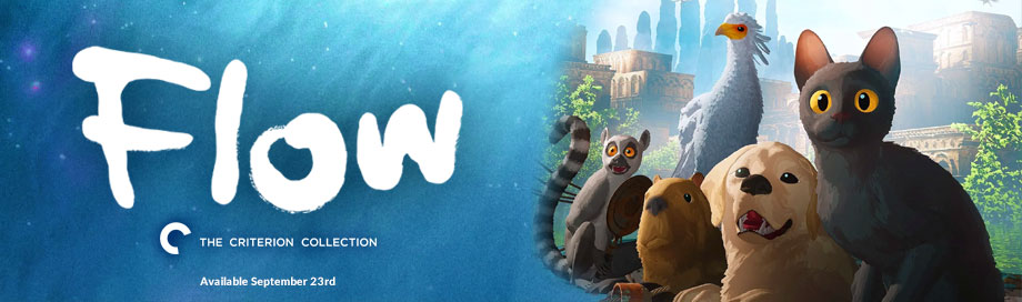 Flow Criterion Collection Available September 23