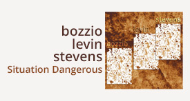 STEVENS,BOZZIO LEVIN