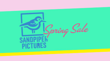Sandpiper Pictures