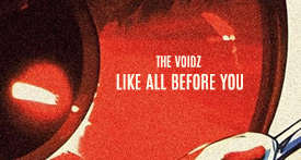 VOIDZ