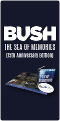 Bush on sale