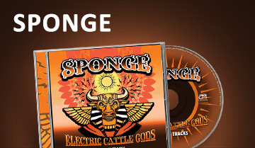Sponge