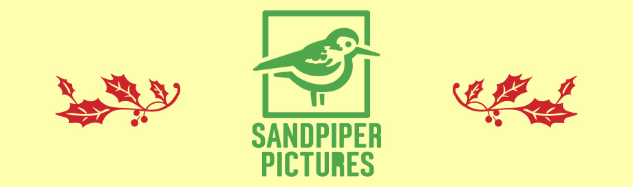 SWS Sandpiper Pictures