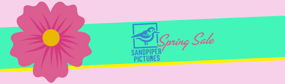 SWS Sandpiper Pictures