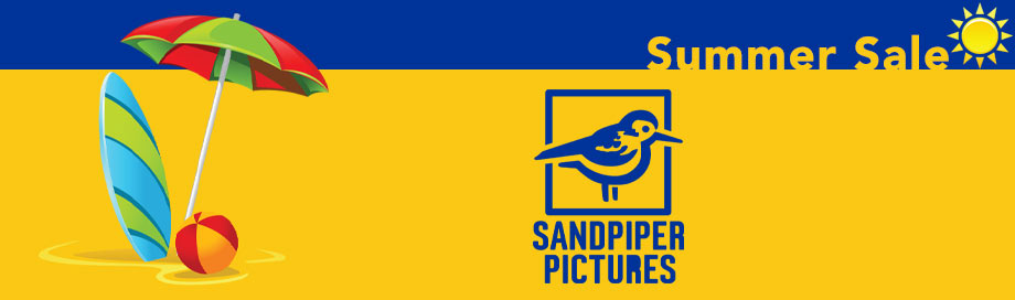 SWS Sandpiper Pictures