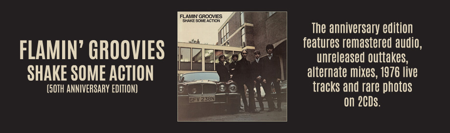 Flamin' Groovies sale