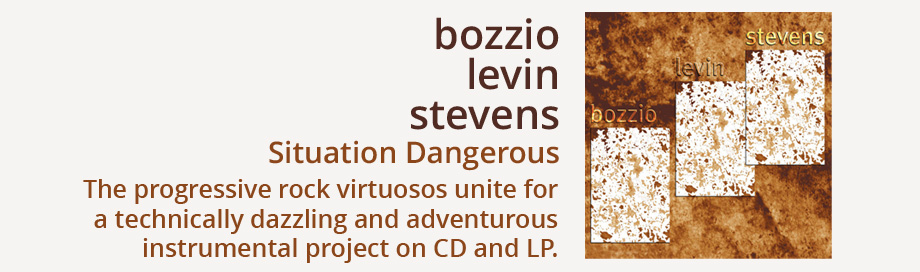 Stevens Bozzio Levin sale